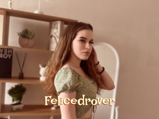 Felicedrover