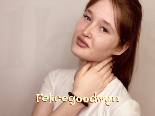 Felicegoodwyn