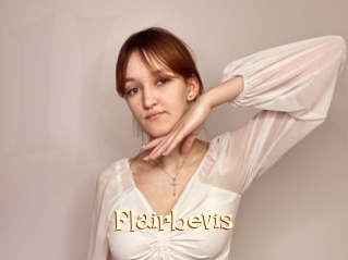 Flairbevis