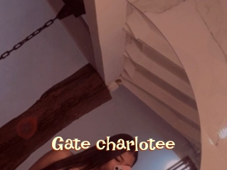 Gate_charlotee