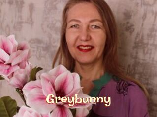 Greybunny