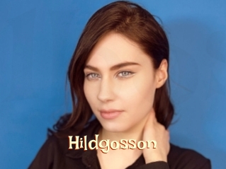 Hildgosson