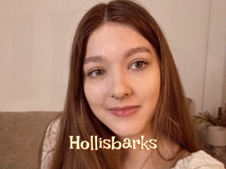 Hollisbarks