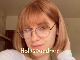 Holliscordner