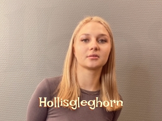 Hollisgleghorn