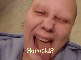 Hornak18