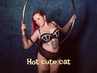 Hot_cute_cat