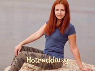 Hotreddaisy