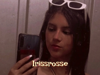 Irissrosse