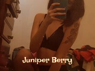 Juniper_Berry