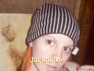 Jackalope