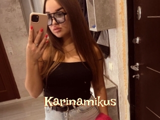 Karinamikus
