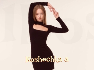 Koshechka_a