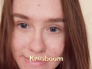 Kriisboom