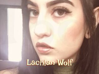 Lachlan_Wolf