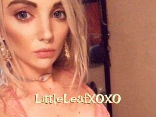 LittleLeafXOXO