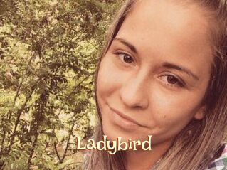 Ladybird