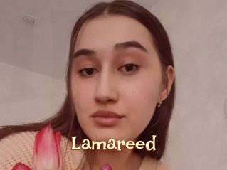 Lamareed