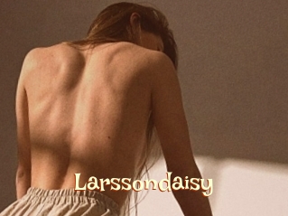 Larssondaisy