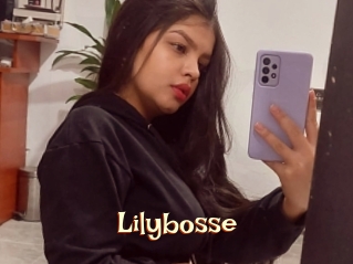Lilybosse