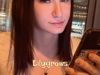 Lilygrows