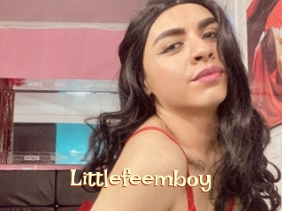 Littlefeemboy