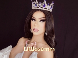 Littlesamm