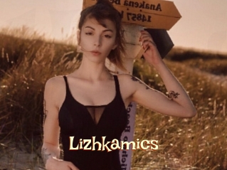 Lizhkamics