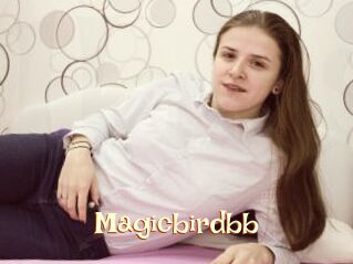 Magicbirdbb