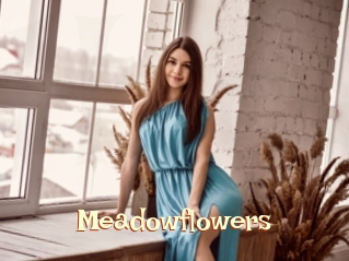 Meadowflowers
