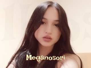 Meganosori