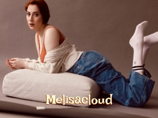 Melisacloud