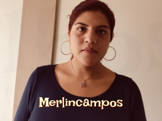 Merlincampos