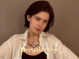 Meryldavidge