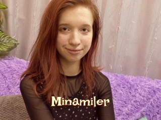 Minamiler