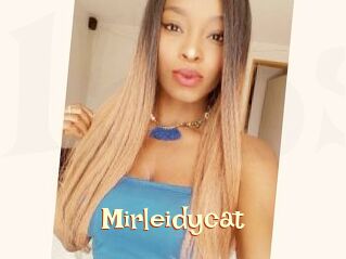 Mirleidycat