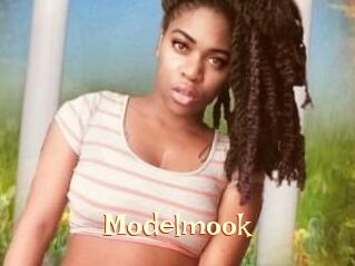 Modelmook