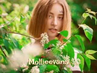 Mollieevans