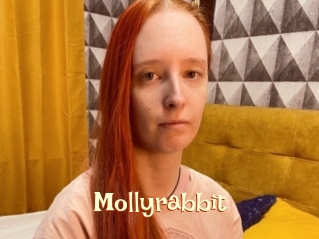 Mollyrabbit