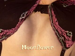 Moonflower