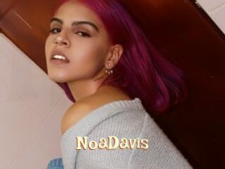 NoaDavis