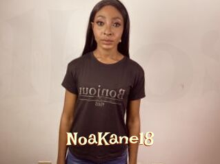 NoaKane18