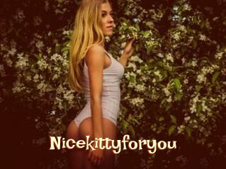 Nicekittyforyou