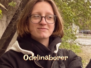 Odelinaborer