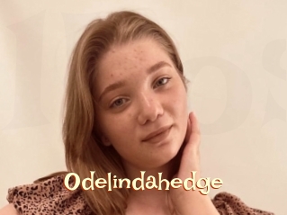 Odelindahedge