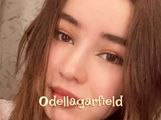 Odellagarfield