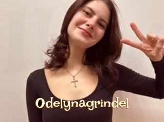 Odelynagrindel