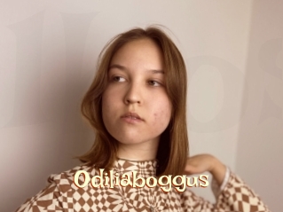 Odiliaboggus