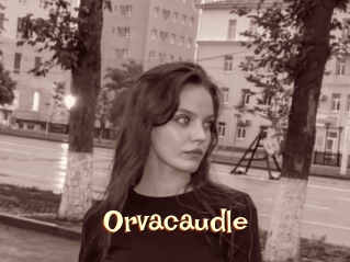 Orvacaudle