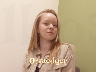 Orvaedger